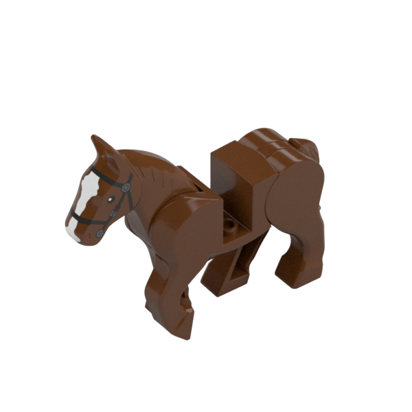 ANIMAL NO.11 ASS.